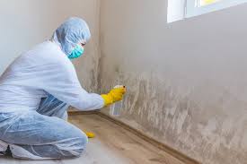 Professional Mold Prevention & Removal  in Foresthill, CA